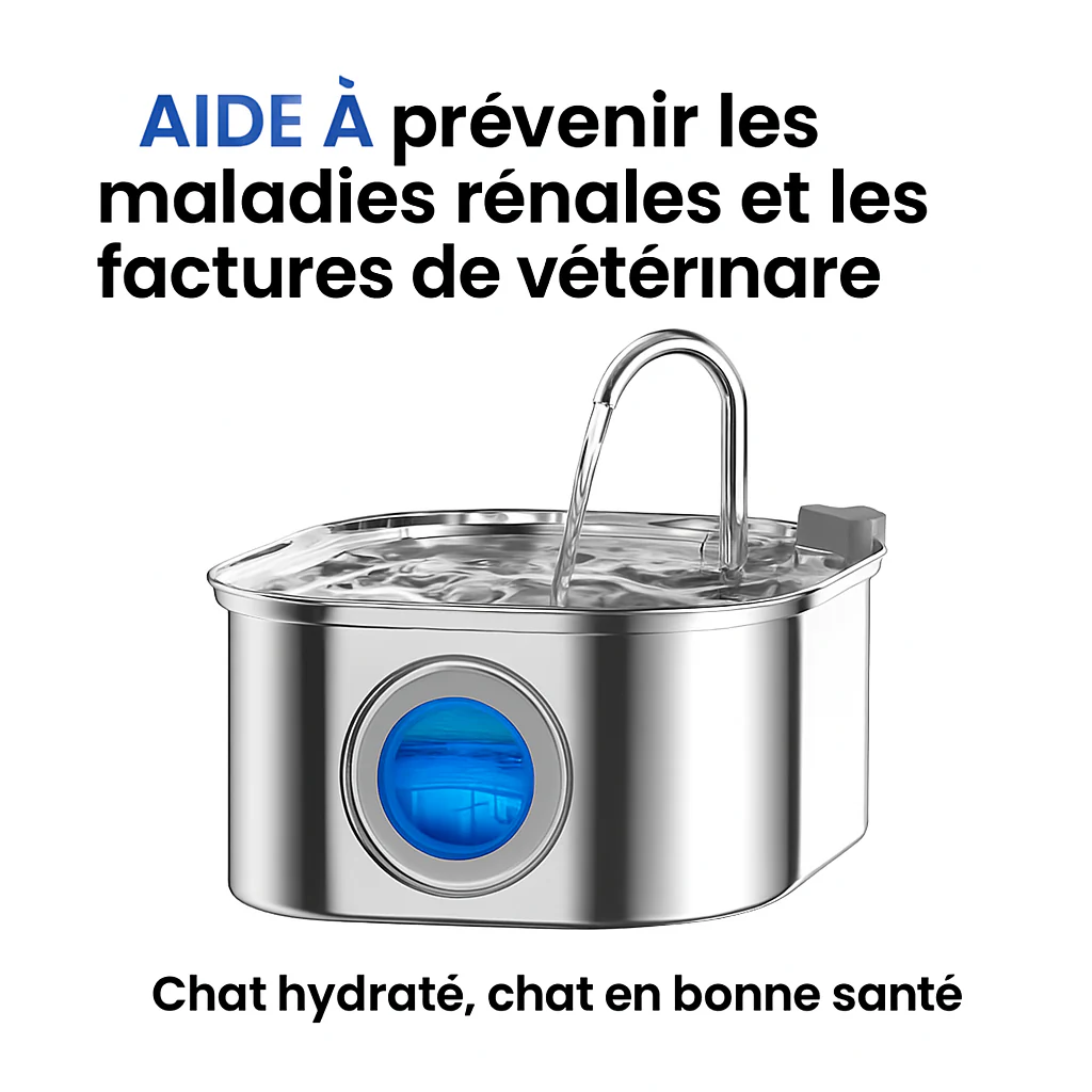 Protégez votre chat de la déshydratation et des urgences urinaires avec VitaChat - Image 2