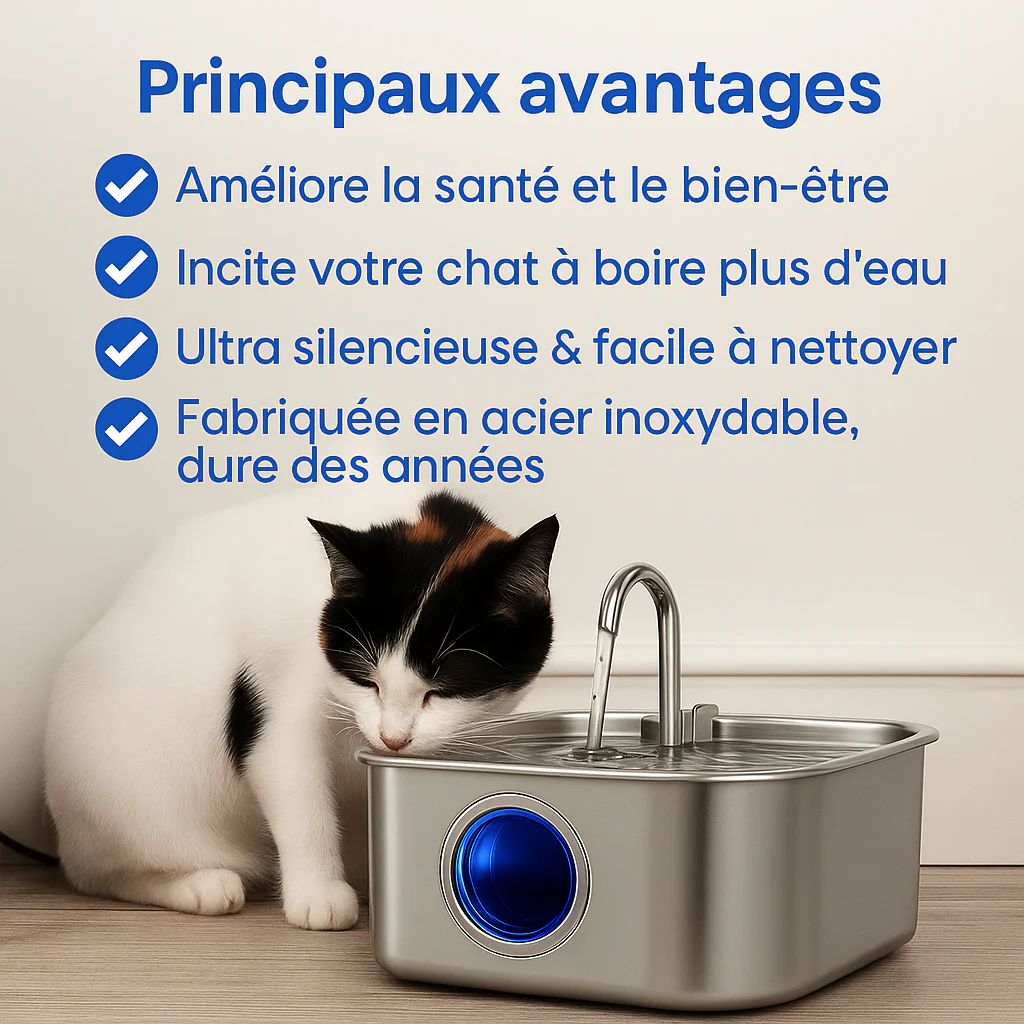 Protégez votre chat de la déshydratation et des urgences urinaires avec VitaChat - Image 6